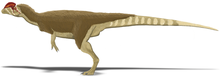 dilofosauro