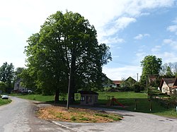 Skyline of Leština