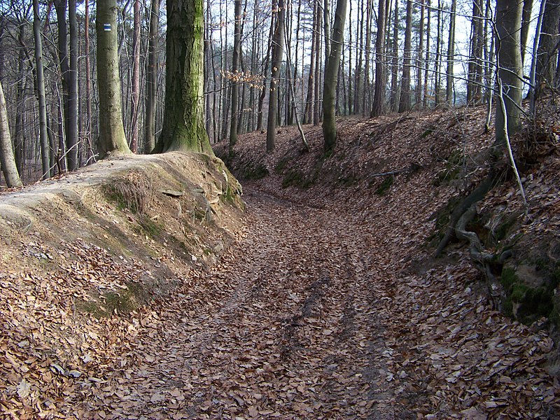 File:Droužkovská cesta (02).jpg