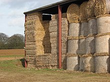 Straw is a commonly used bedding material Dutch barn and straw bales at Bussock Barn - geograph.org.uk - 430068.jpg