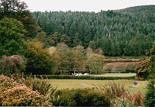 <span class="mw-page-title-main">Pantperthog</span> Village in United Kingdom