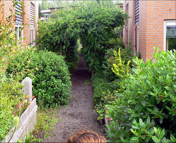 File:E.V.A. Lanxmeer path 2009.jpg
