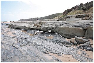 <span class="mw-page-title-main">Eumeralla Formation</span> Geological formation in Victoria, Australia