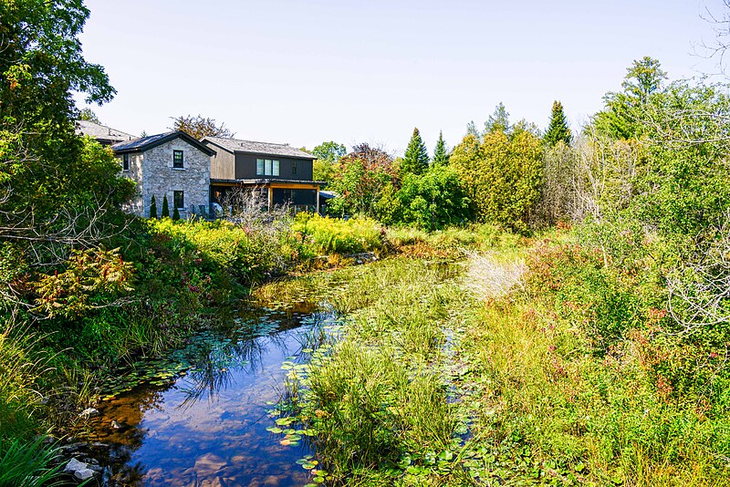 File:Eramosa River behind the Cottage - 2017 (DanH-9346).jpg