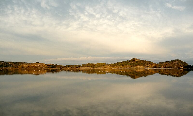 File:Etang de Bages (2).jpg