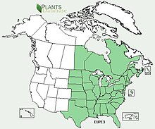 Eupatorium perfoliatum range map.jpg 