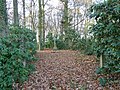 Graf omgeven door rododendrons in Froweinbos