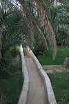 Irigasi falaj di Oasis Al Ain