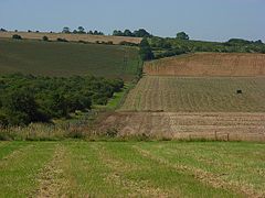 Farmland, Winterbourne Gunner - geograph.org.uk - 513108.jpg