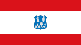 Vlag