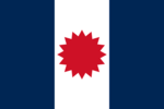 Vlag van die Sip Song Chau Tai, Frans-Indochina, 1948 tot 1955