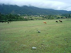 antigua pista de aterrizaje