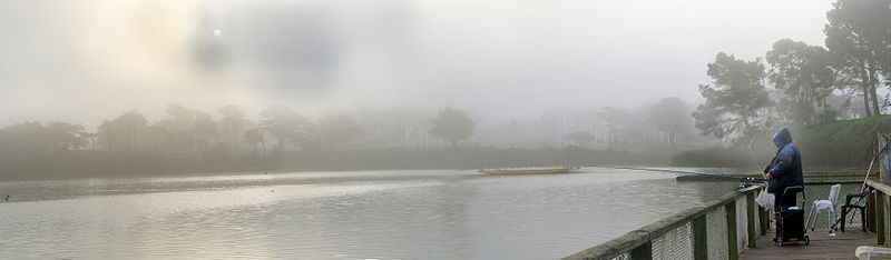 File:Foggy morning at Lake Merced.jpg