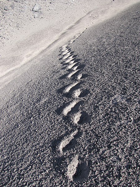 File:Footprints in the volcanic sand (4320929014).jpg
