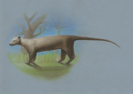 Scientifical illustration showing the animal features of the extinct carnivore mammal Cryptoprocta spelea. Image created with expert supervision.