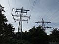 110-kV-Leitungen nach Hockenheim/Brühl (links) und Leimen (rechts)