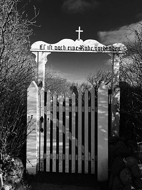 Friedhof der Heimatlosen (Nebel auf Amrum)