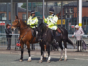 Greater Manchester Police