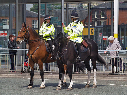 Mounted Greater Manchester Police in Bury