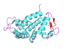 Structure of GSDMD C-terminal domain GSDMD-C PyMOL.png