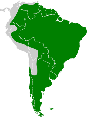 Gallinago paraguaiae map.svg