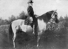 Lee mounted on Traveller (September 1866) General R. E. Lee and Traveler.jpg
