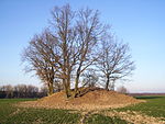 Gerichtsberg (bei Kagenow)