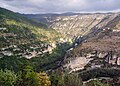 Gorges du Tarn