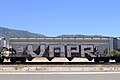 Graffiti Freight Train Benching 7-3-2020 (50073444881).jpg