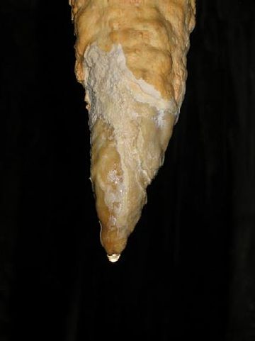 Estalactita