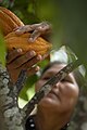 * Kandidimi Fruit Picking in Tres Arroyos Basin Protection Area, Guanay - Bolivia --Das Morton 16:20, 18 September 2024 (UTC) * Nuk u miratua  Oppose Subject not focused. --RockyMasum 12:23, 20 September 2024 (UTC)