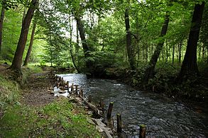 Große Röder im Hüttertal