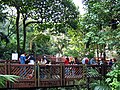 Dentro de un aviario en el Parque de Hong Kong