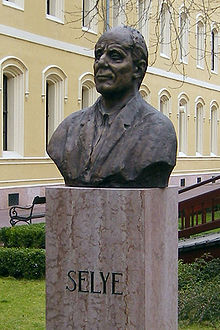 Bust of Hans Selye at Selye Janos University, Komarno, Slovakia Hans Selye.JPG