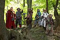 Image 24A fantasy LARP group (from Role-playing game)