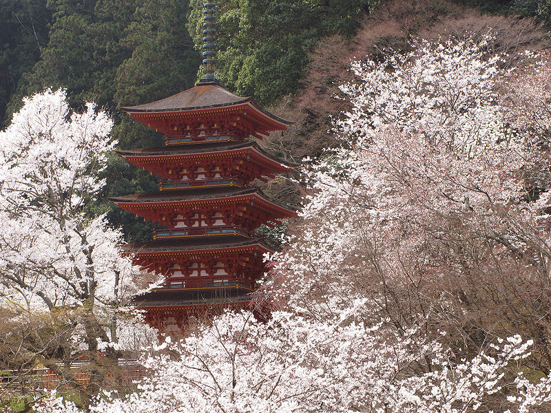File:Hase-dera five Storeyed Pagoda and cherry trees.jpg