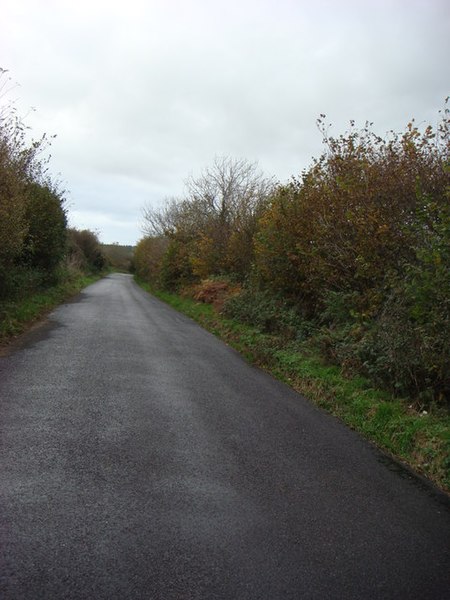 File:Haydon Lane - geograph.org.uk - 607062.jpg