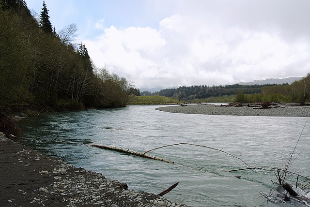 Hoh River in the Olympic National Park