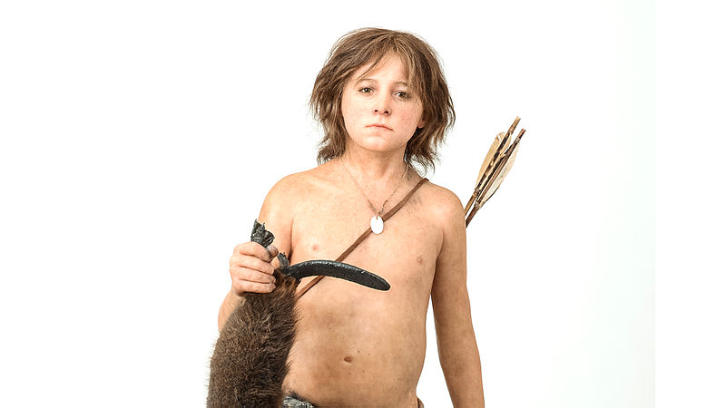 File:Homo sapiens - Mesolithic - reconstruction - MUSE.jpg