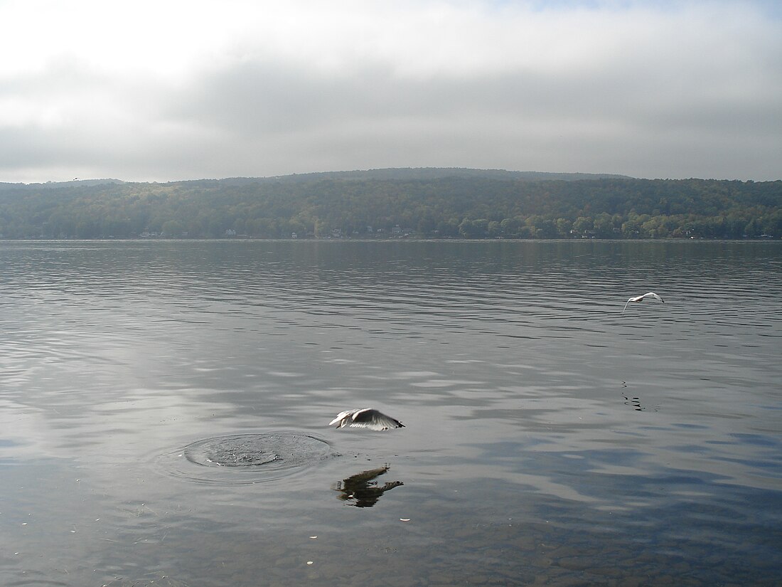 Lago Honeoye