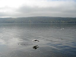 Lac Honeoye.JPG