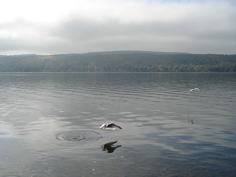 File:Honeoye Lake.JPG