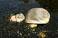 Hortus Haren. Tuinen van Ogham. Stenen die gezichtjes vertonen.