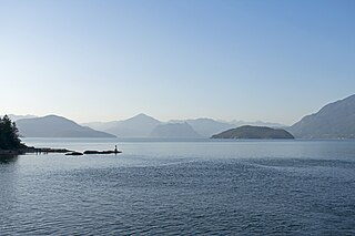 <span class="mw-page-title-main">Bowyer Island</span> Island in British Columbia, Canada