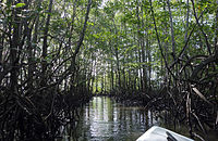 Sierpe (Costa Rica)