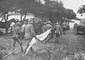 Hungarian troops surrendering at Szolnoc.