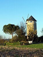 Nuancanto 33 Moulin.jpg