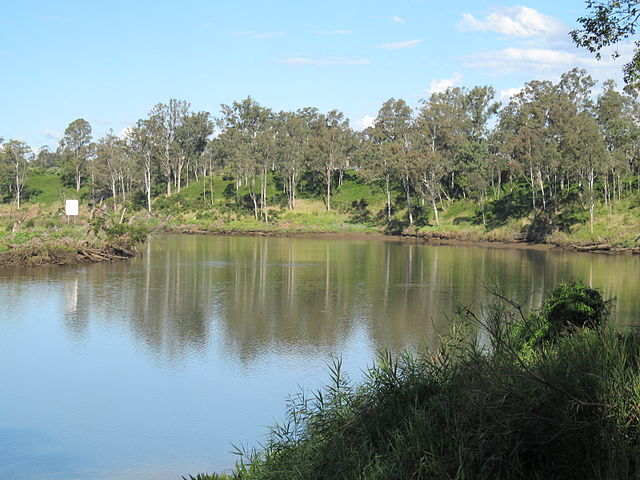 The Brisbane River at Riverview, 2013