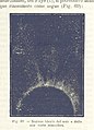Image taken from page 95 of 'La Terra, trattato popolare di geografia universale per G. Marinelli ed altri scienziati italiani, etc. (With illustrations and maps.)' (11154033335).jpg