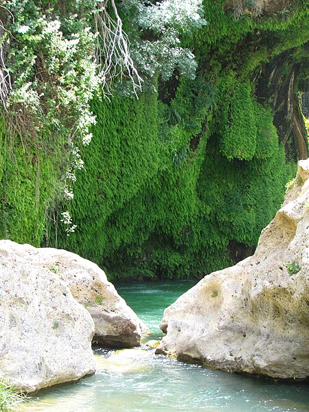 File:Iran - Pars Province - Sadeh - Tang Boragh - panoramio.jpg